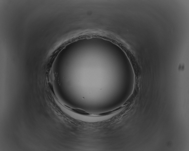 X0000091691496200708301529