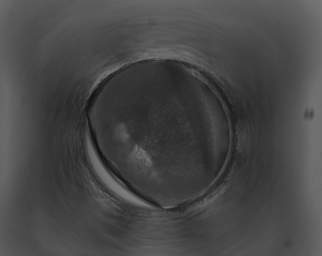 X0000091691497200708301529