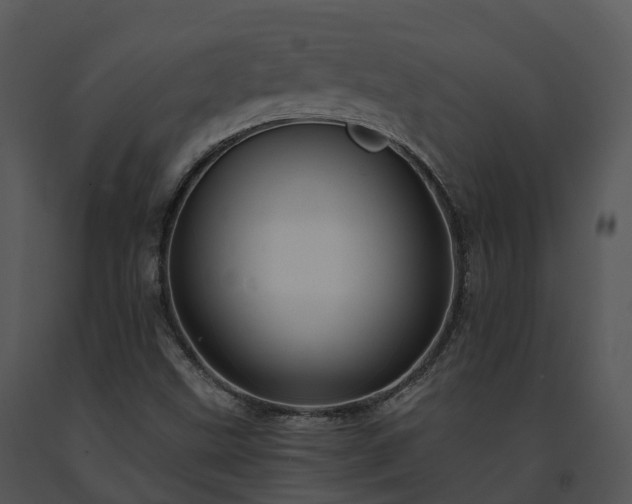 X0000091691499200708301529