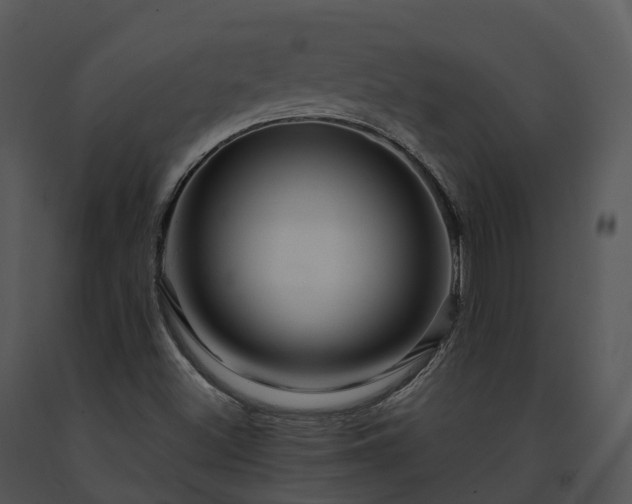 X0000091691500200708301529