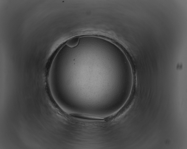 X0000091691501200708301529