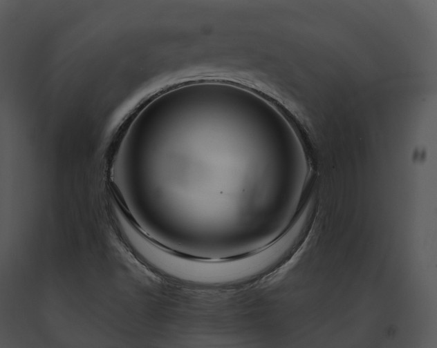 X0000091691502200708301529