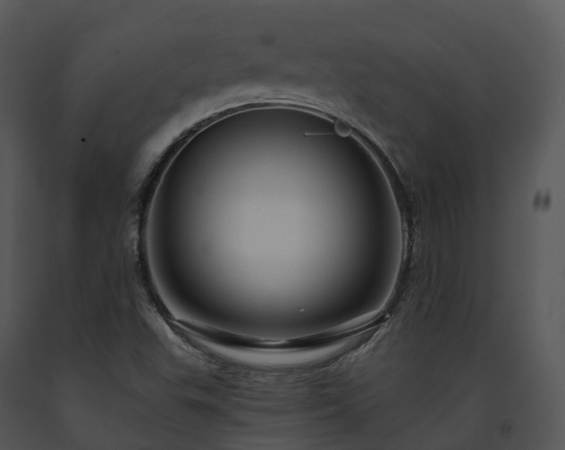 X0000091691503200708301529