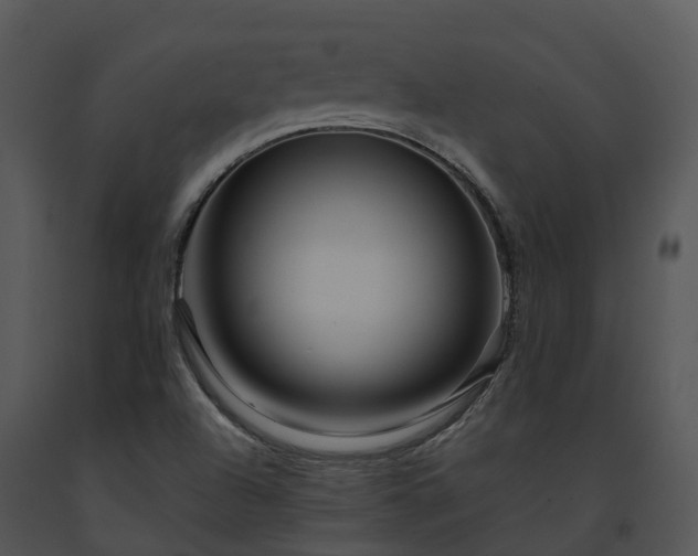 X0000091691504200708301529