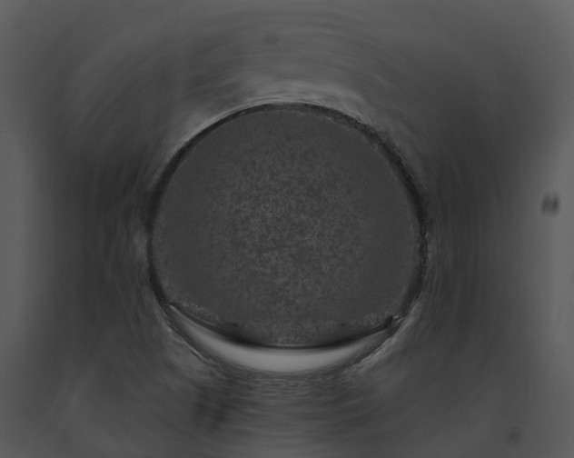 X0000091691505200708301529
