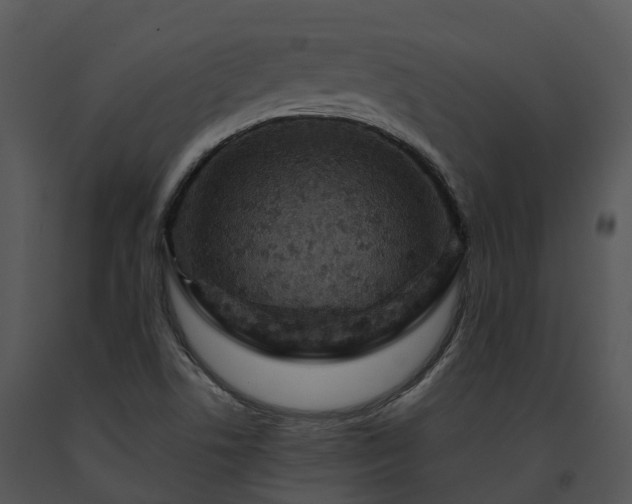 X0000091691506200708301529