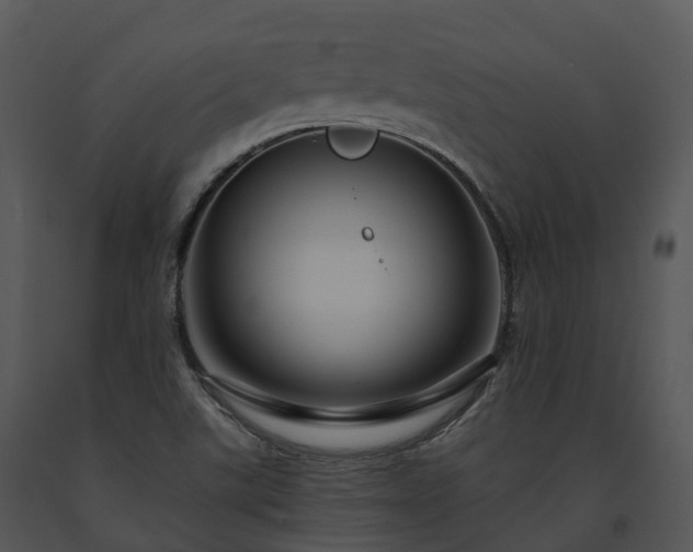 X0000091691507200708301529