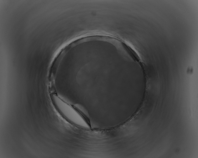 X0000091691508200708301529
