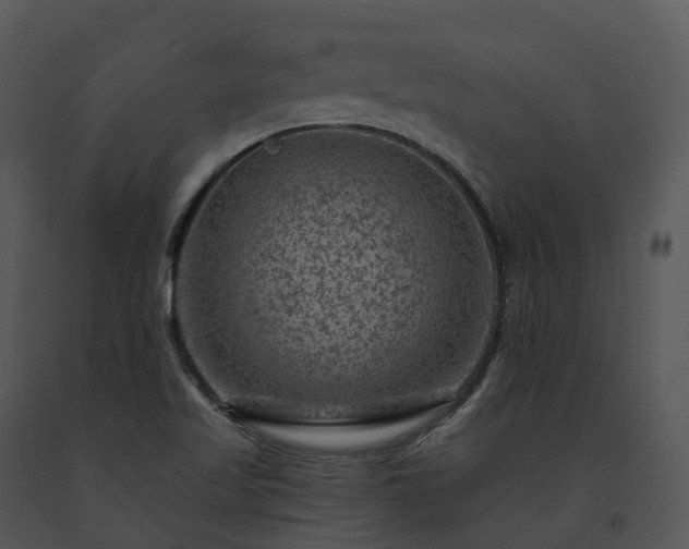 X0000091691509200708301529