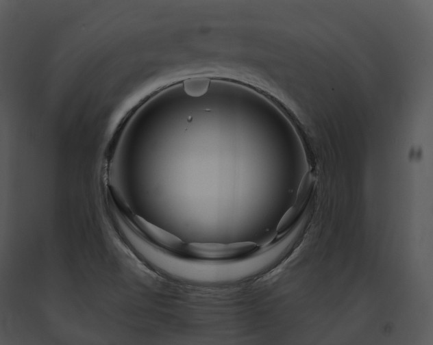 X0000091691510200708301529