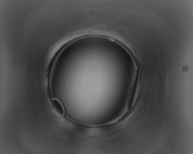 X0000091691511200708301529