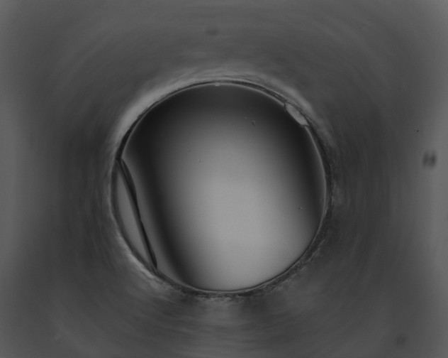 X0000091691512200708301530