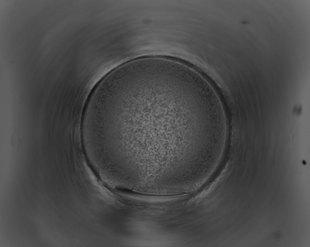 X0000091691513200708301530