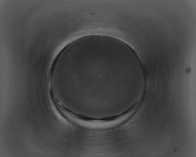 X0000091691515200708301530