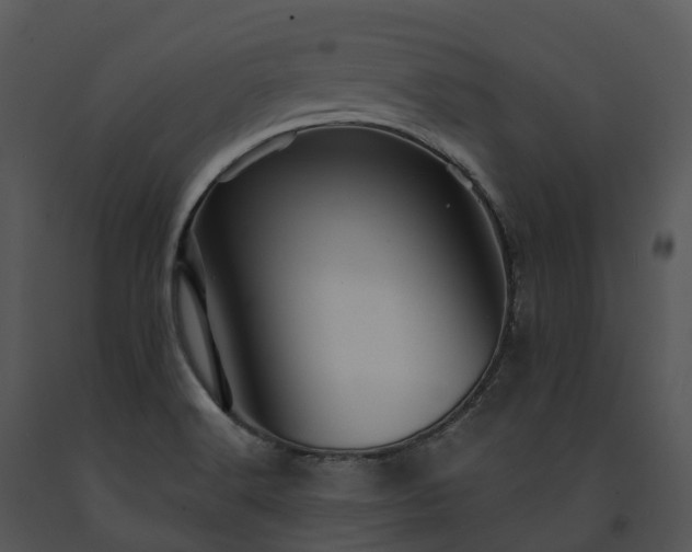 X0000091691516200708301530