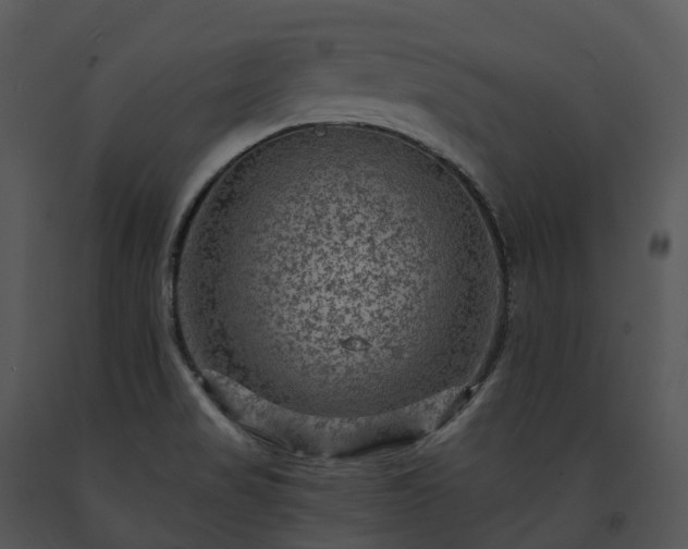 X0000091691517200708301530
