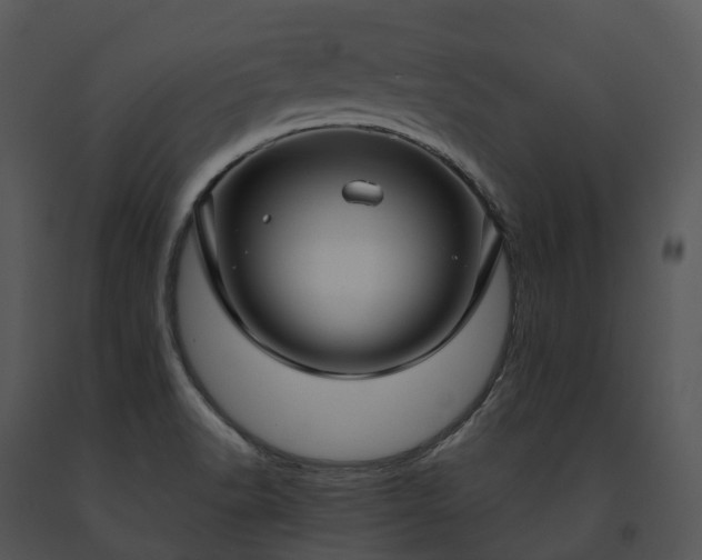 X0000091691518200708301530