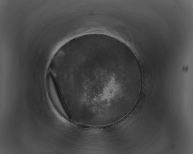 X0000091691519200708301530