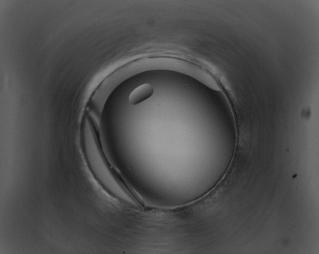 X0000091691520200708301530