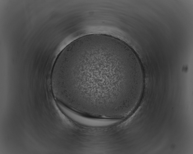 X0000091691521200708301530