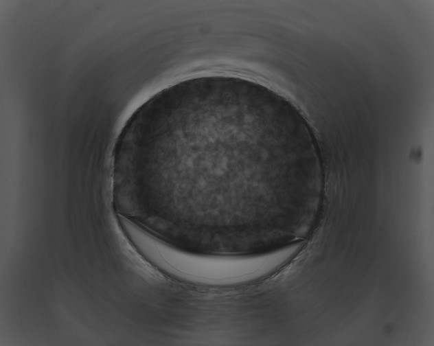 X0000091691522200708301530