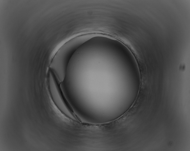 X0000091691524200708301530
