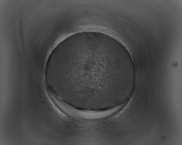 X0000091691525200708301530