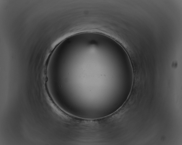 X0000091691526200708301530
