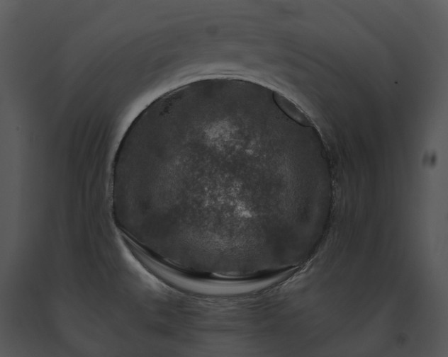 X0000091691527200708301530