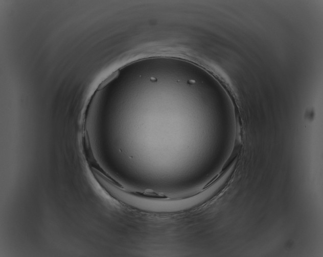 X0000091691528200708301530