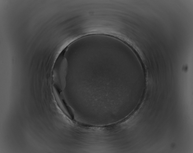 X0000091691529200708301530