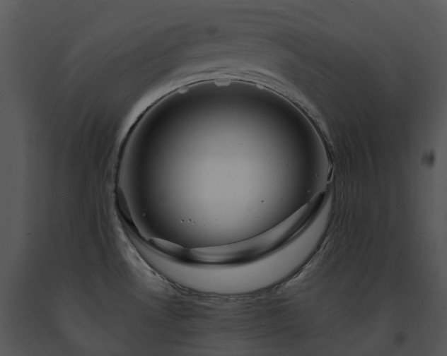 X0000091691530200708301530