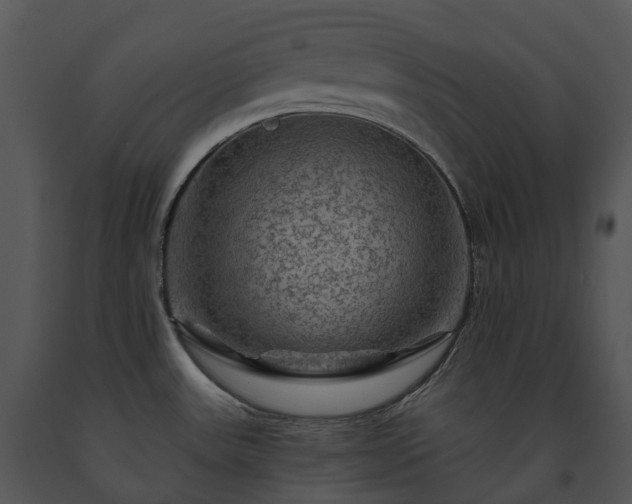 X0000091691531200708301530