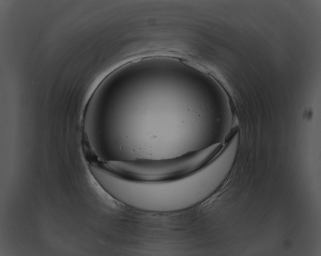 X0000091691532200708301530
