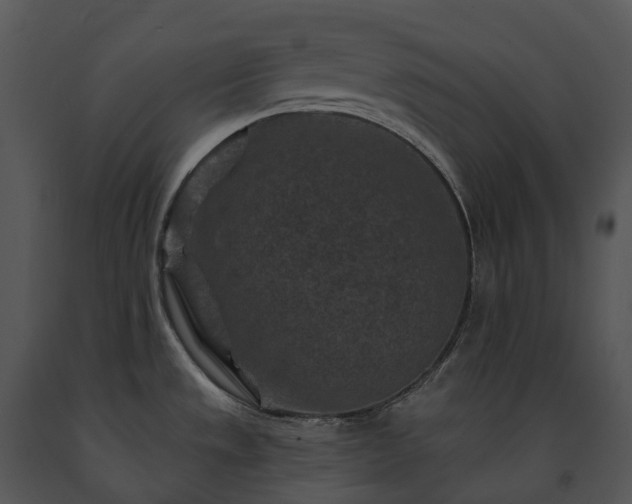 X0000091691533200708301530