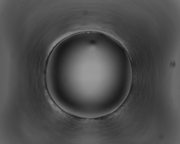 X0000091691534200708301530