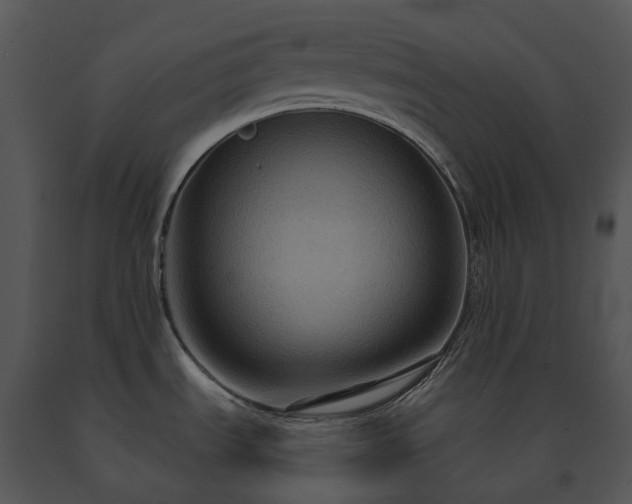 X0000091691535200708301530