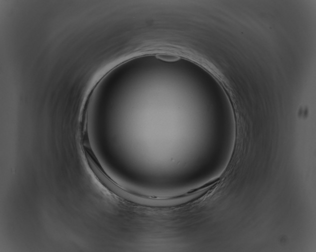 X0000091691536200708301530