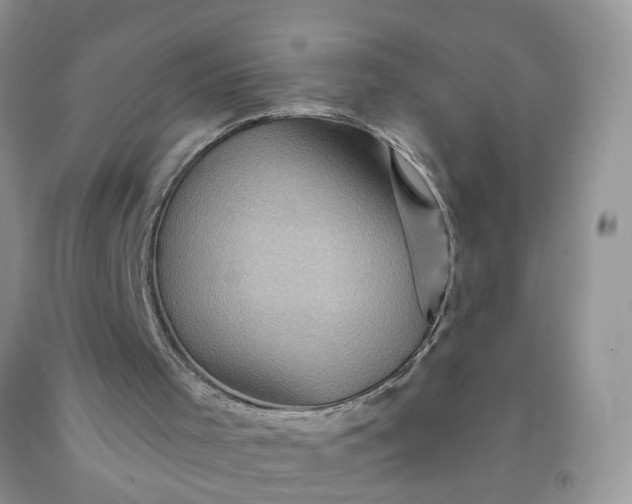 X0000091690001200709061134