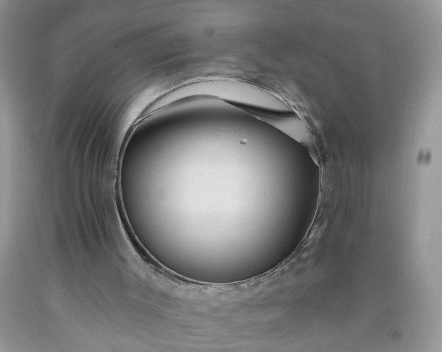 X0000091690003200709061134