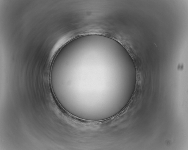 X0000091690004200709061134