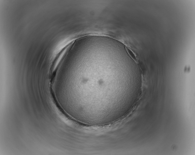 X0000091690005200709061134