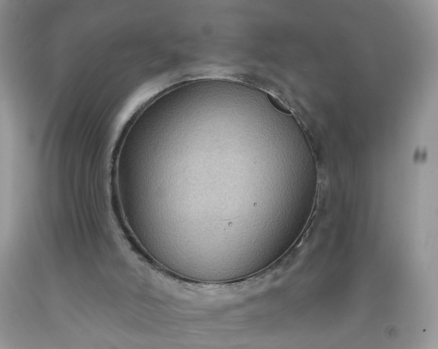 X0000091690006200709061134