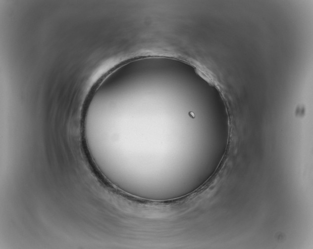 X0000091690008200709061134