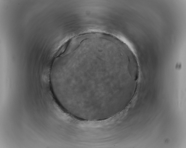 X0000091690009200709061134