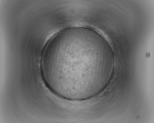 X0000091690010200709061134