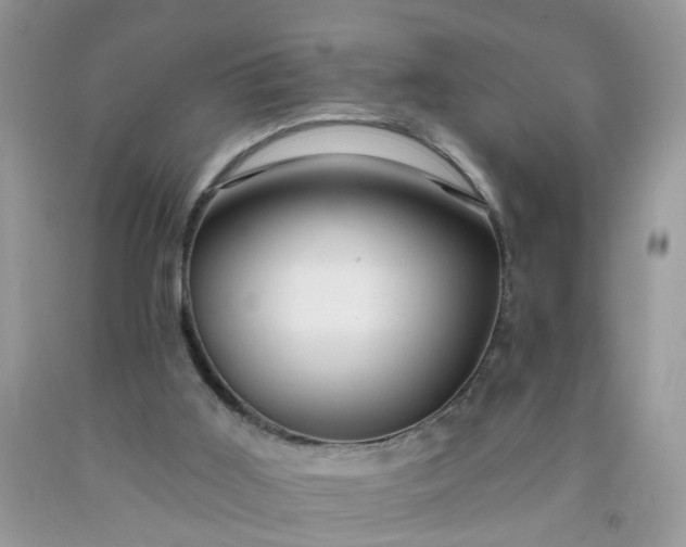 X0000091690011200709061134