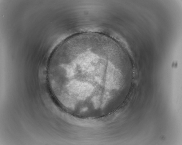 X0000091690012200709061134