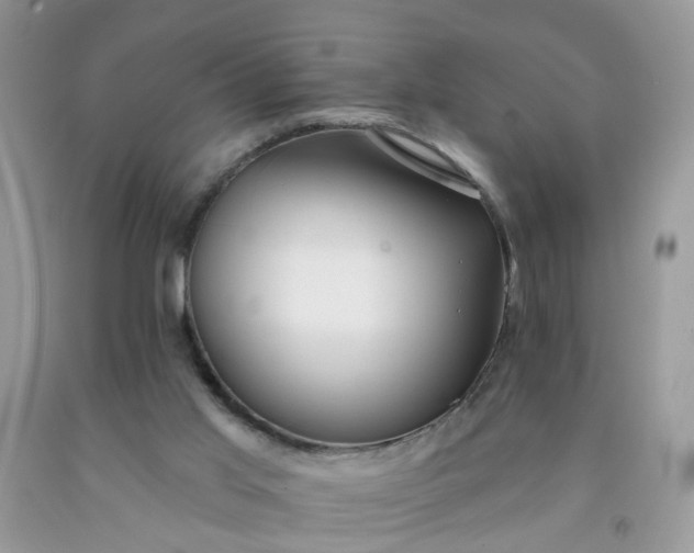 X0000091690013200709061134