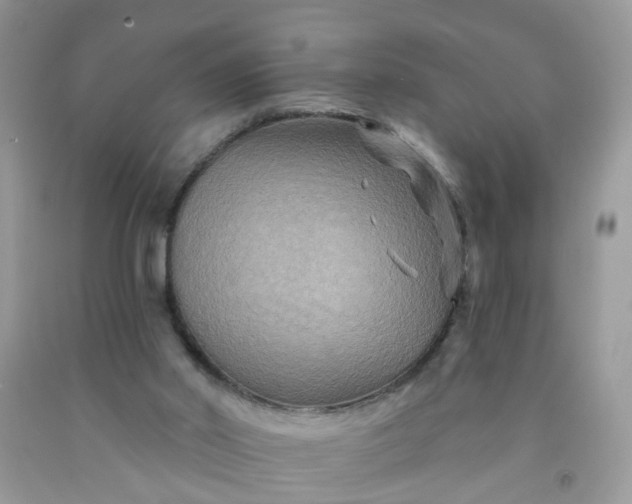 X0000091690014200709061134